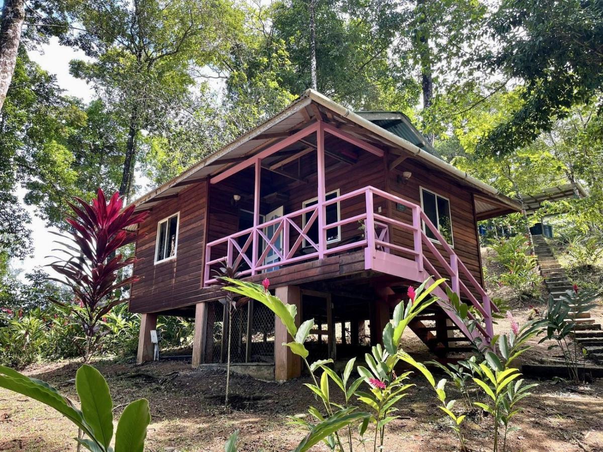 Akwaba Lodge Те-Гап Экстерьер фото