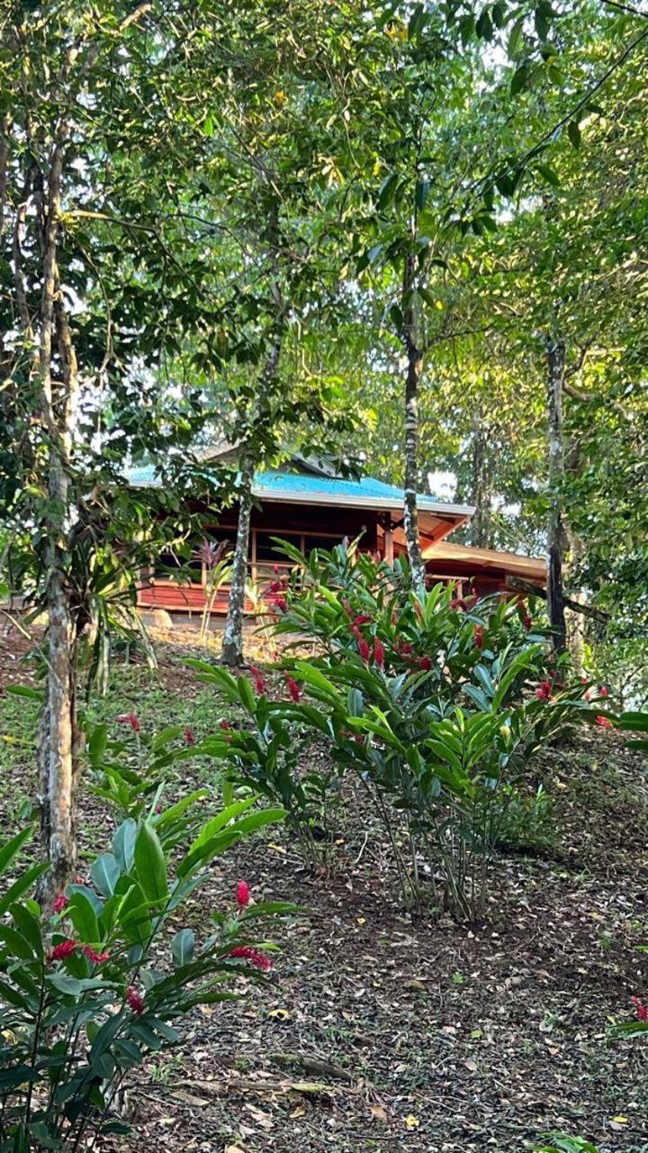 Akwaba Lodge Те-Гап Номер фото